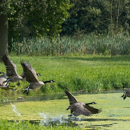 B&B Park7 Wavre - Leuven Huldenberg Экстерьер фото